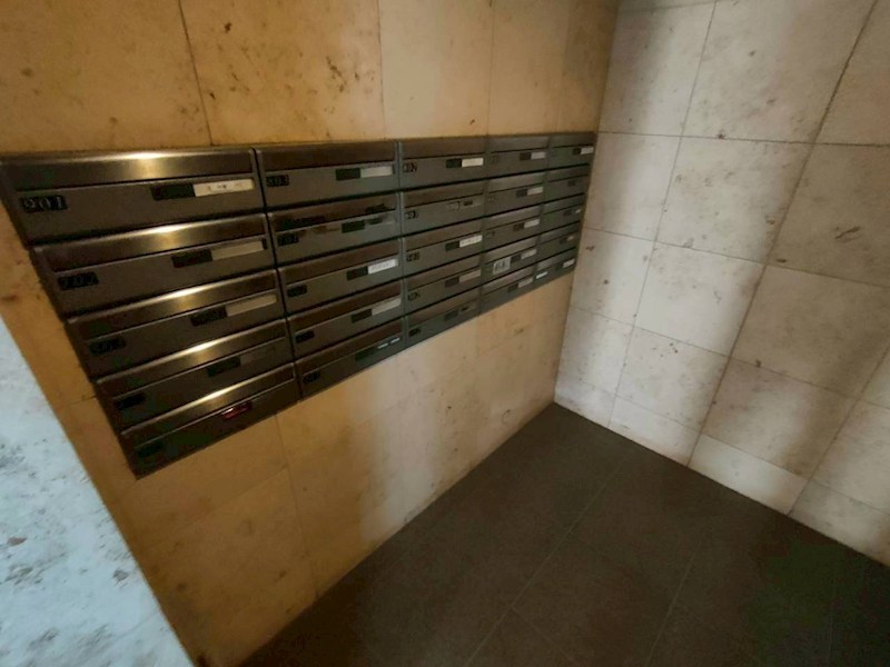 プライマリー西葛西アマーレ その他2