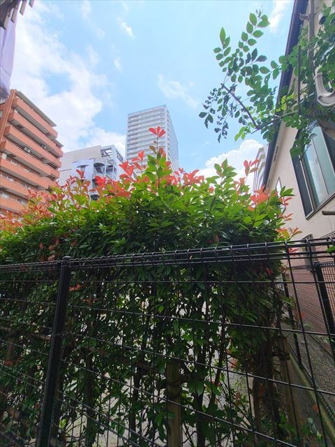 タナカハイツ その他4