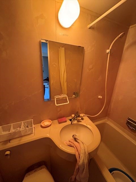 ライオンズマンション東新小岩 その他1