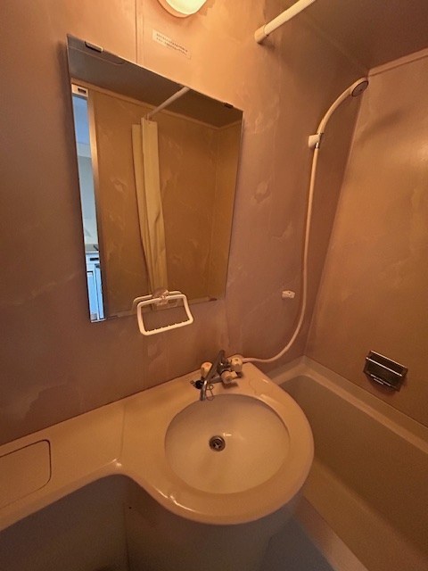 ライオンズマンション東新小岩 その他2