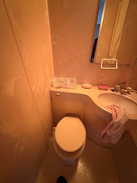 ライオンズマンション東新小岩 その他2