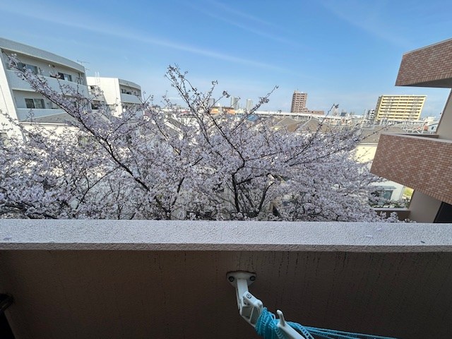 ライオンズマンション東新小岩 その他5