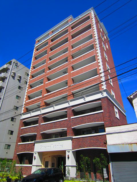 シュトランドコルブ その他8