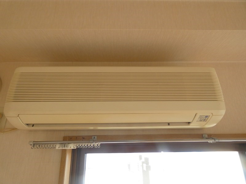 ラクダ その他6