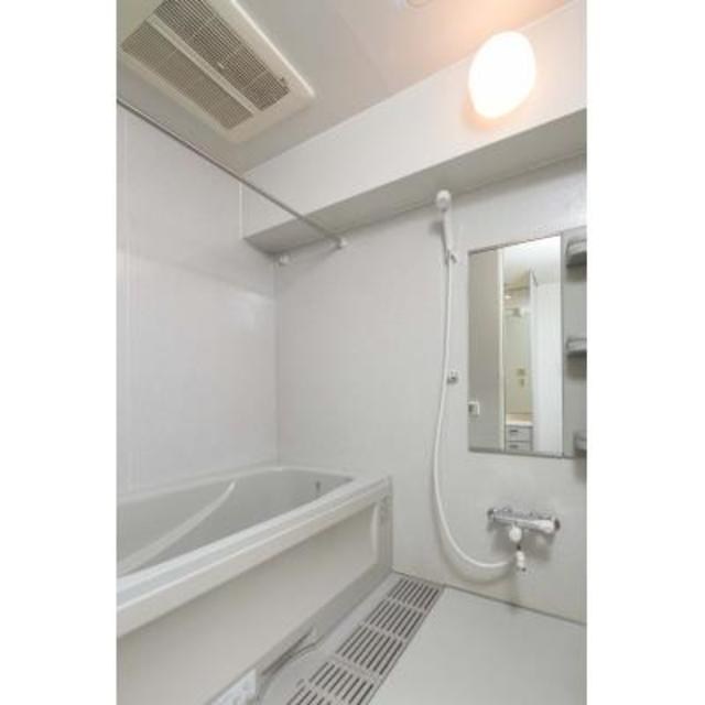 Ｌａｐｙｕｔａ   風呂画像