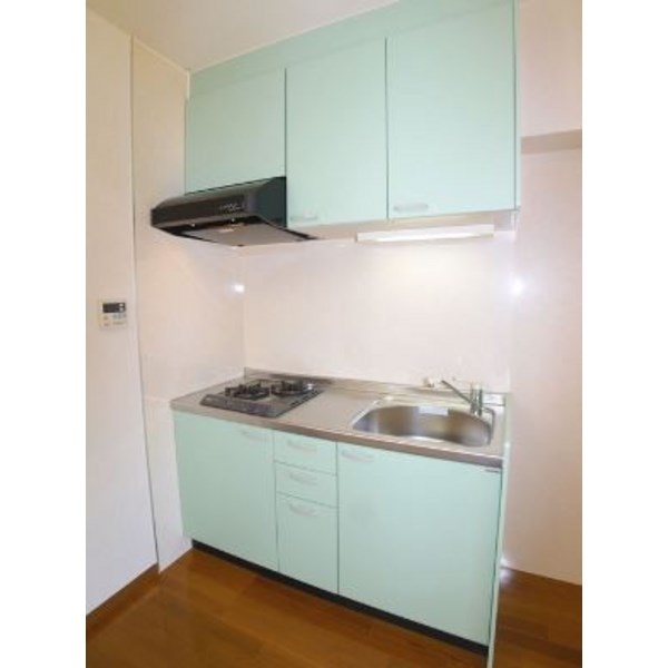 エクスクルーシヴダイゴ  キッチン