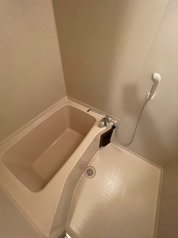 ロワイヤル東井堀12 風呂画像