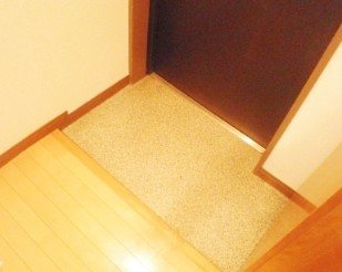フジマツ第５ビル  玄関