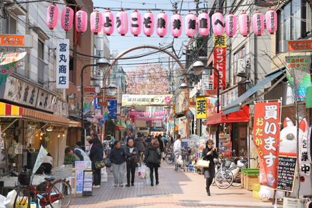 アヴァンセ西ヶ原 周辺画像8