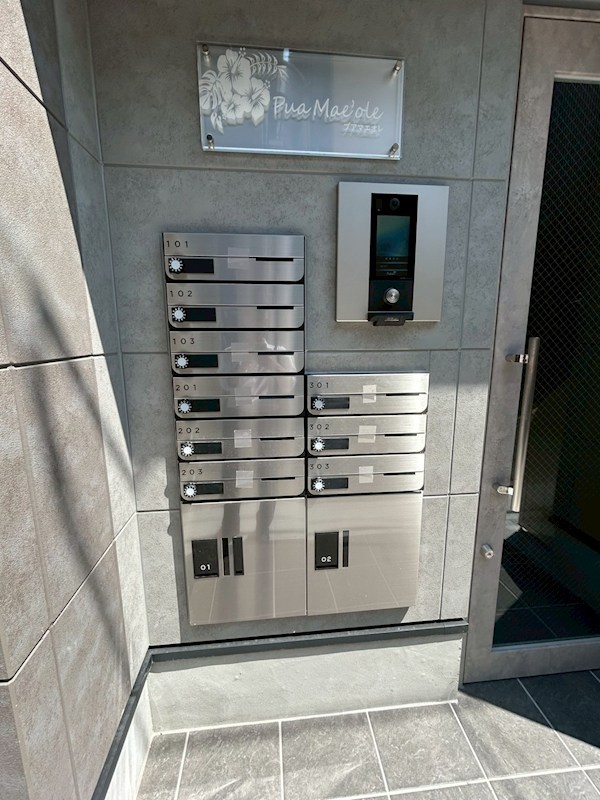 プアマエオレ その他5