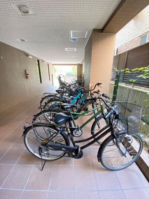 セント・マジョーレ  その他11