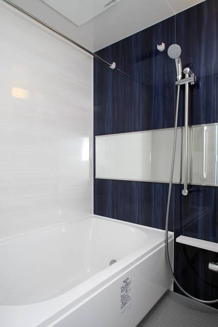 テルマエドムス根岸   風呂画像