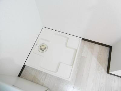 ハーベストチョウゾウ その他11