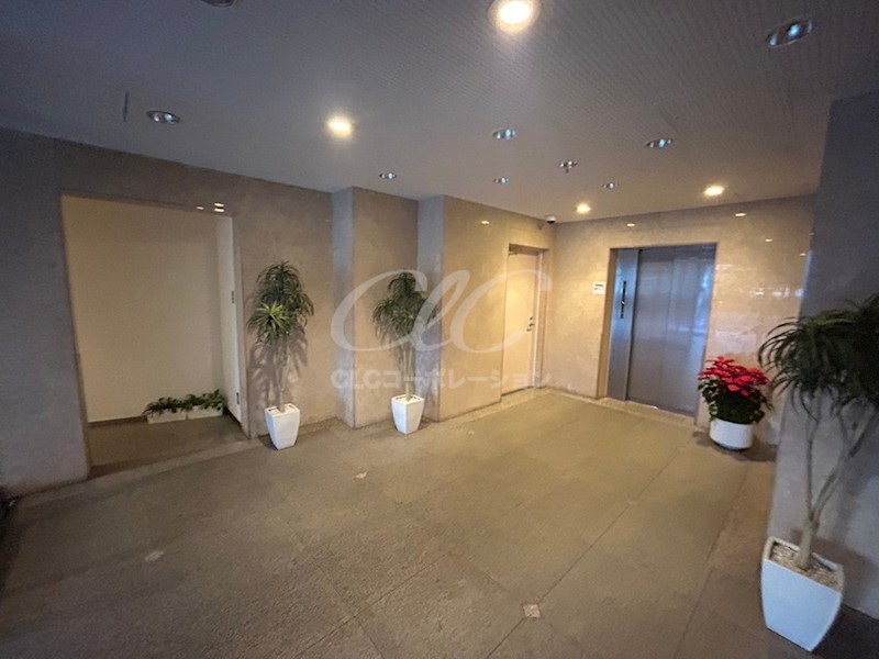 レピドール福田 その他8