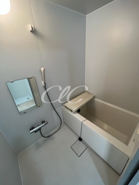 小岩ファミールカメリヤ 風呂画像