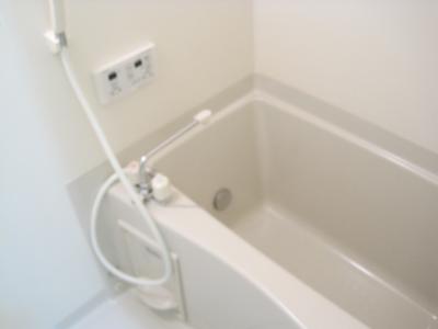 シルフィード その他7