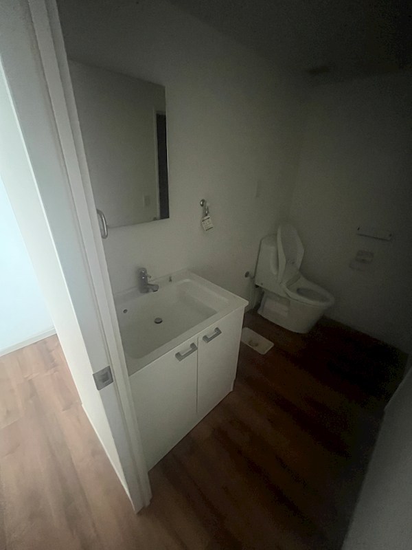 ソメイテラス その他8