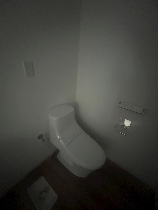 ソメイテラス その他9