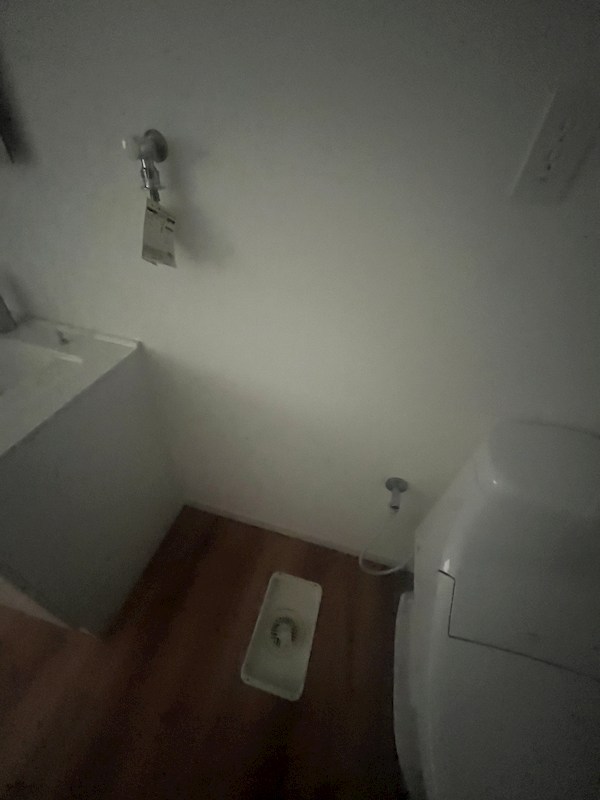 ソメイテラス その他10