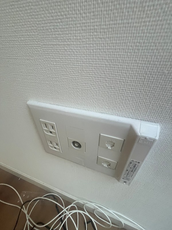 ソメイテラス その他7