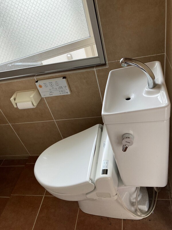 カラクムアチェリア その他1