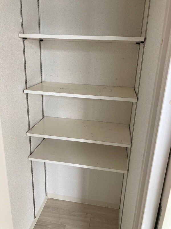 カラクムアチェリア その他4