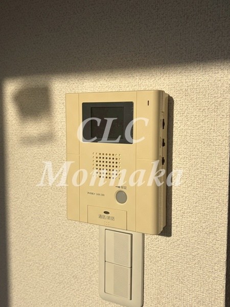 カラクムアチェリア その他5