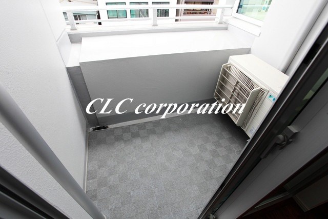 ミレアコート銀座プレミア ベランダ