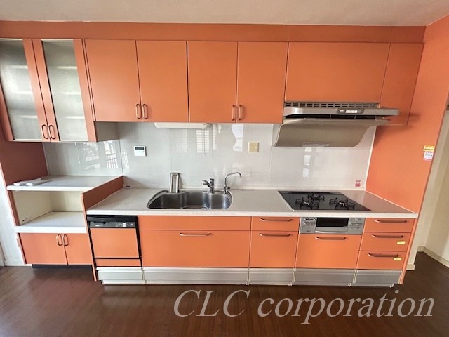 ウェルネス瀬戸口 キッチン