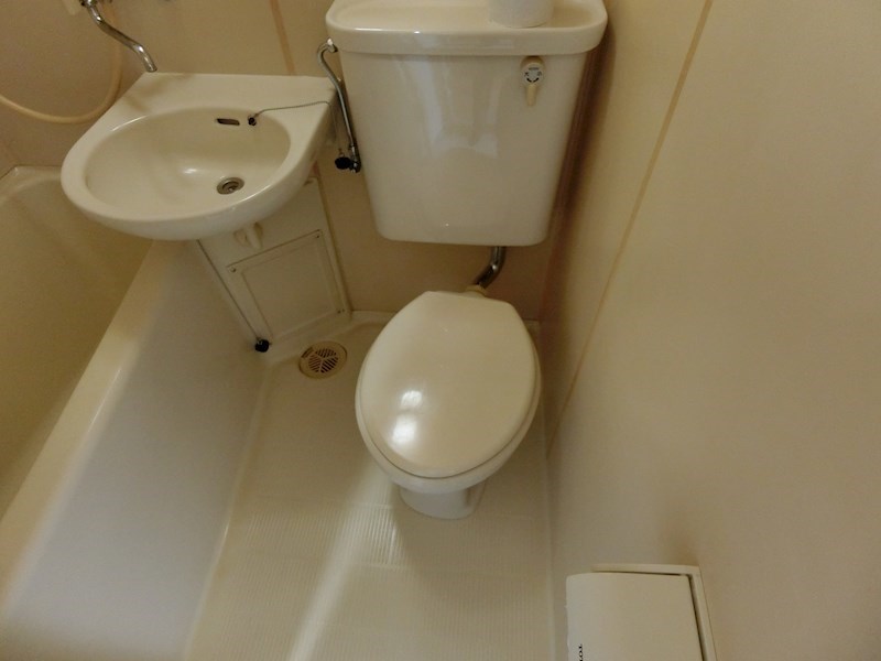 パステルフローラ   その他3