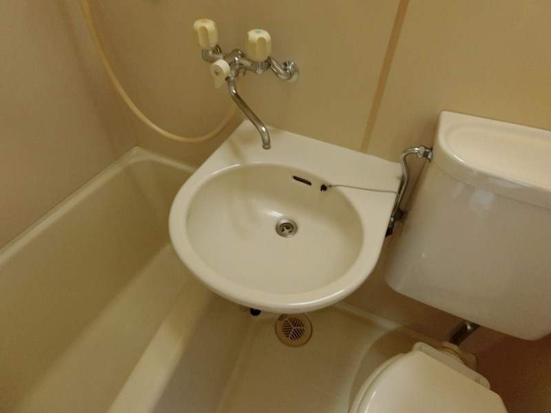 パステルフローラ   その他4