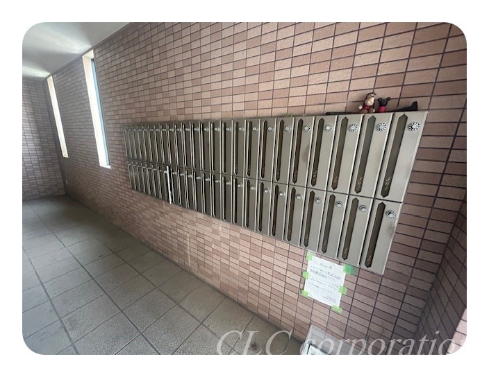 ヴィオラ その他12