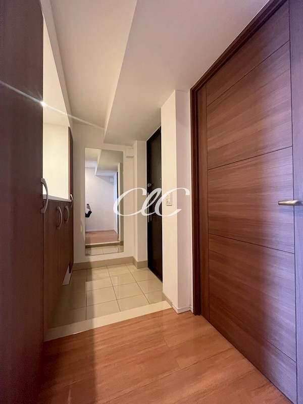 アルファグランデ篠崎弐番街 玄関