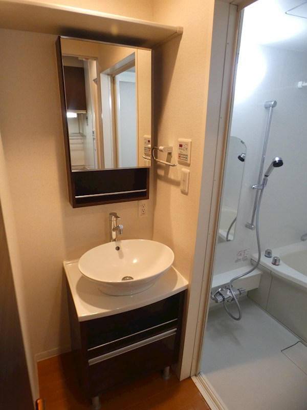 Ｐｌａｉｓｉｒ　Ｏｈｎｕｋｉ その他5