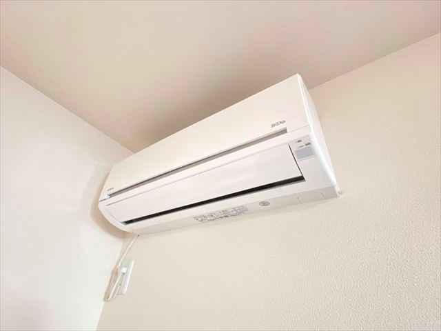 Ｍａｉｓｏｎ Ｆｌｏｒａ その他13