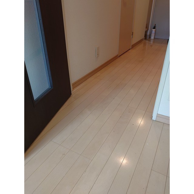 サンスタレ浅草  玄関