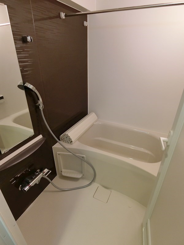 アリカ向島  風呂画像