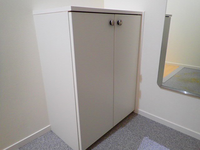 シルフィード その他9