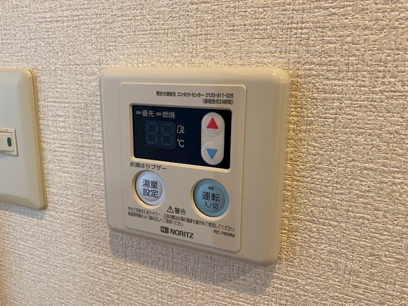 ルネッサ王子  その他8