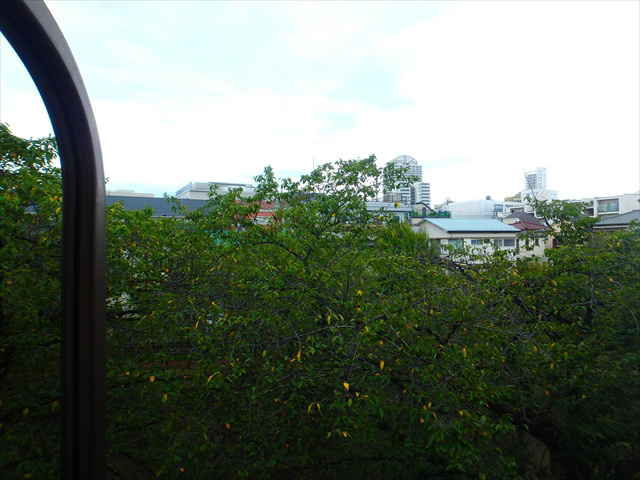 ロイヤルヴェッセル その他4