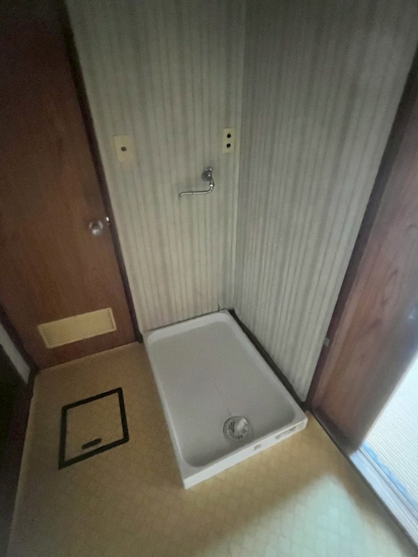 コートアオイ  その他3