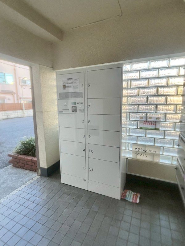 コートアオイ  その他6