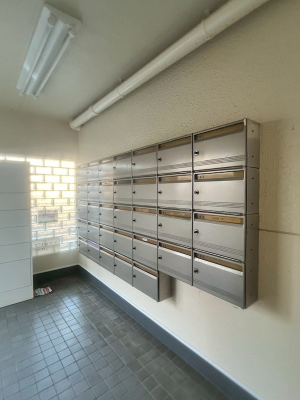 コートアオイ  その他7