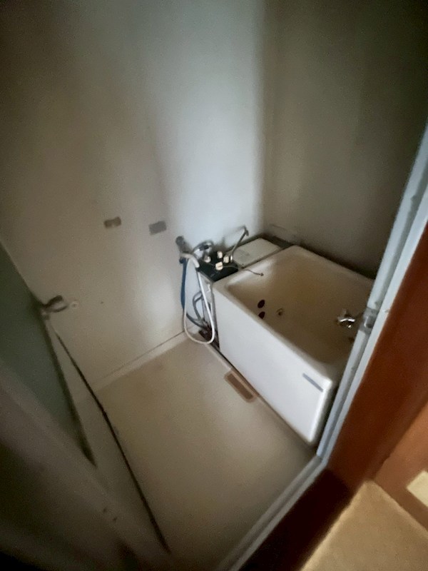 コートアオイ  風呂画像