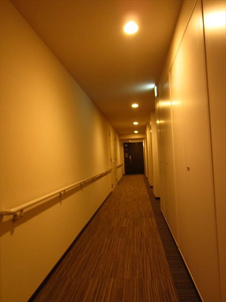 アトラスブランズタワー三河島 その他10