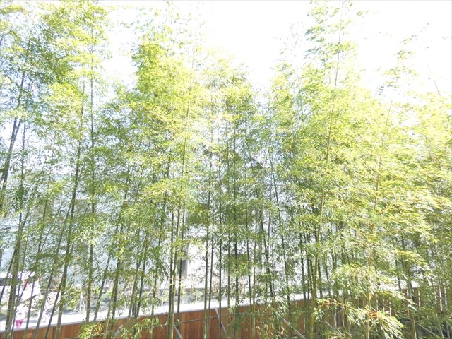 綾東ヴィレッジ弐番館  眺望