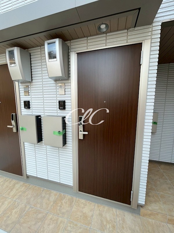 カーム　カモミール その他4