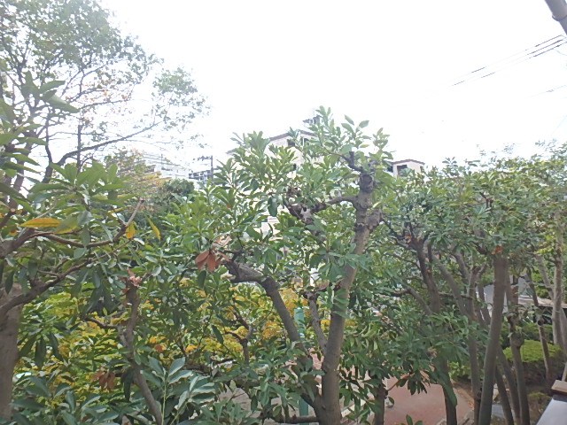 ＦＯＲＥＳＴ　ＳＩＤＥ その他4