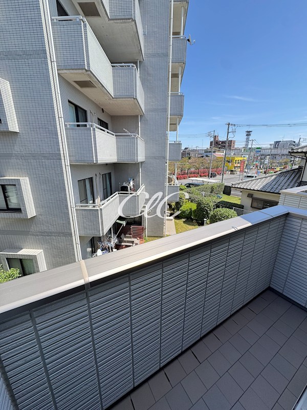 カーム　カモミール ベランダ