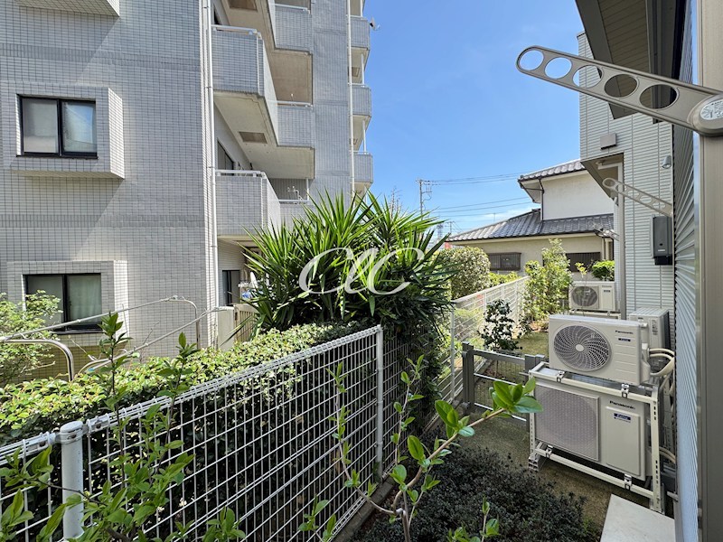 カーム　カモミール ベランダ